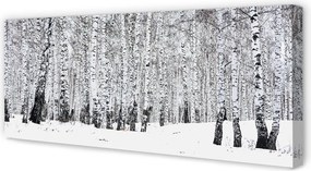 Fotoobraz na płótnie Zimowy Krajobraz z Brzozami