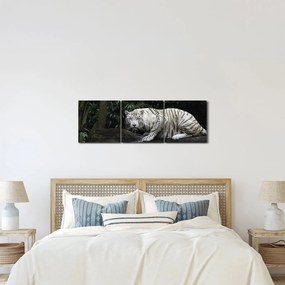 Obraz - Tygrys albinos (z zegarem) (90x30 cm)
