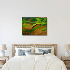 Obraz na szkle - Pola, łąki (70x50 cm)