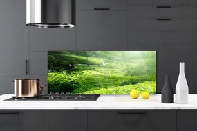 Panel Kuchenny Zieleń Naturalnej Łąki