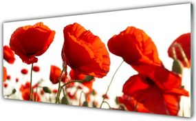 Panel Kuchenny Czerwone Maki O Poranku