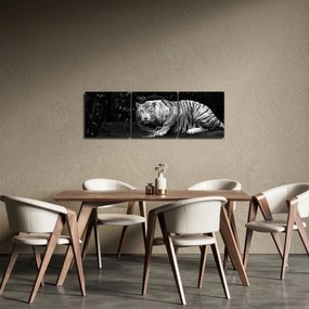 Obraz - Tygrys albinos, czarno - biały (z zegarem) (90x30 cm)