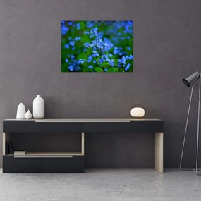Obraz niebieskich kwiatów (70x50 cm)