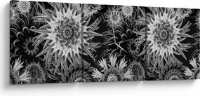 Obraz - Czarne i białe osty (z zegarem) (90x30 cm)