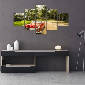 Obraz - zabytkowy samochód w przyrodzie (125x70 cm)