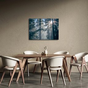 Obraz drzew, przez które prześwieca słońce (70x50 cm)