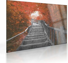 Obraz na szkle - Schody w naturze, pomarańczowy (70x50 cm)