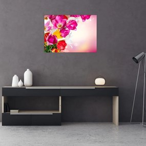 Obraz na szkle tulipanów (70x50 cm)