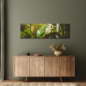 Obraz kameleona (170x50 cm)