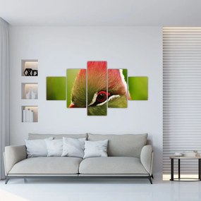 Obraz kolorowego ptaka (125x70 cm)