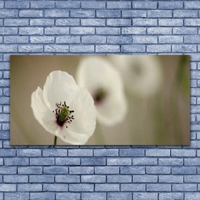Obraz Canvas Kwiat Roślina Natura