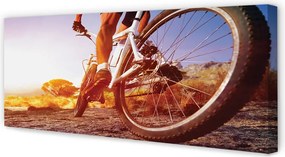 Obraz drukowany na płótnie Rower na Górskim Szlaku