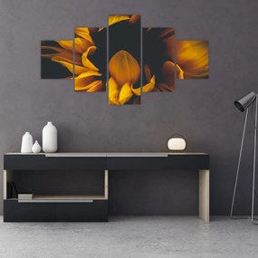 Obraz - Słoneczniki na czarnym tle (125x70 cm)