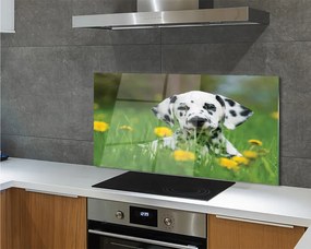 Szklany Panel Szczęśliwy Pies na Zielonej Łące