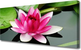 Obraz canvas Subtelna Natura w Kwiatach