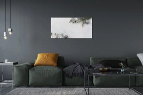 Obraz na płótnie Gałązki i Szyszki