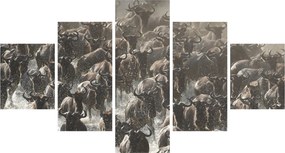 Obraz - Stado antylop gnu (125x70 cm)