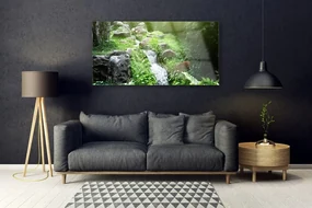 Obraz na Szkle Potok Trawy Natura Roślina