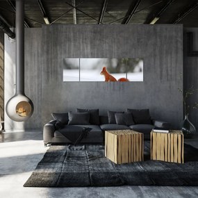 Obraz wiewiórki (170x50 cm)