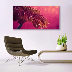 Zdjęcie na płótnie Majestatyczne Drzewo w Polu