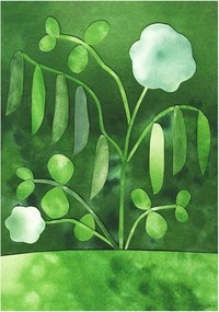 Plakat 50x70 cm Peas in Bloom – Anna Ravn Bjørn – The Poster Club