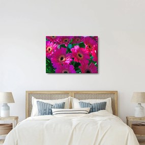 Obraz - kwiaty (70x50 cm)