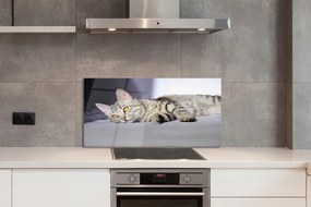 Szkło do Kuchni na Ścianę Leniwe Popołudnie na Kanapie