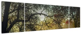 Obraz wschodu słońca (170x50 cm)