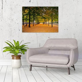 Obraz na szkle - aleja jesiennych drzew (70x50 cm)