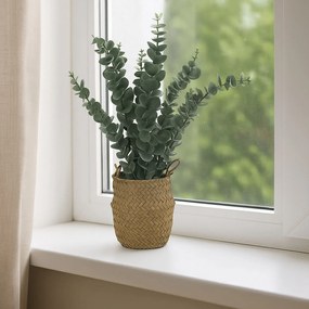 Sztuczna roślina eukaliptus w koszyku, 50 cm