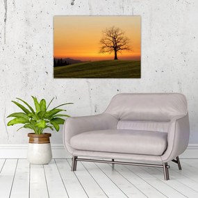 Obraz na szkle - zachód słońca na łące (70x50 cm)