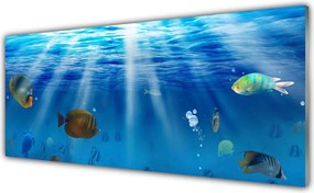 Szkło Dekoracyjne do Kuchni Egzotyczna Ryba W Tonii