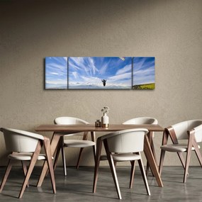 Obraz - Paralotniarstwo (170x50 cm)