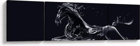 Obraz - Koń i woda (170x50 cm)
