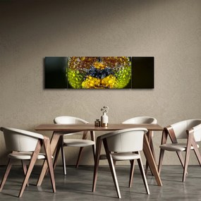 Szczegółowy obraz oczu owadów (170x50 cm)