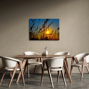 Obraz - Zachód słońca na łące (70x50 cm)