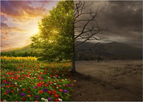 Obraz - Cykl życia (70x50 cm)