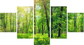 Obraz - Wiosenny las liściasty (125x70 cm)