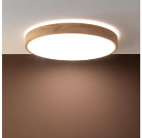 Brilliant - Ściemnialna oprawa sufitowa LED SLIMLINE LED/60W/230V + z pilotem
