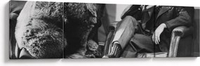 Obraz - Cyrk (170x50 cm)