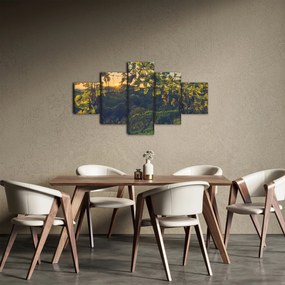 Obraz - Winnica (125x70 cm)