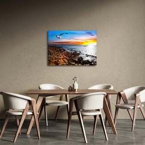 Obraz - Mewa lecąca nad wybrzeżem (70x50 cm)
