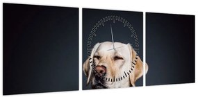 Obraz labradora (z zegarem) (90x30 cm)