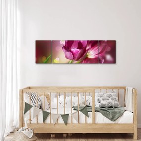 Obraz różowych tulipanów (170x50 cm)