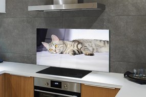 Szkło do Kuchni na Ścianę Leniwe Popołudnie na Kanapie