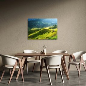 Obraz na szkle - Koncert w Tarasach Ryżowych (70x50 cm)
