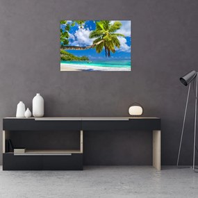 Obraz na szkle - Seszele (70x50 cm)