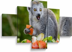 Obraz lemura (125x70 cm)