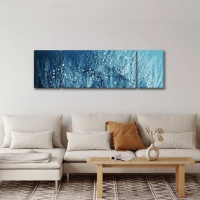 Obraz - Krople rosy (170x50 cm)