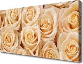 Zdjęcie na płótnie Aksamitne Róże w Pąkach